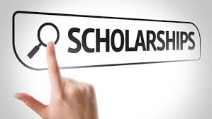 scholar check image